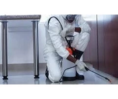 Pest control Glenvale