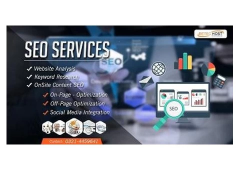 SEO Services in Pakistan