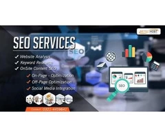 SEO Services in Pakistan