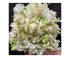 Buy Fresh Flowers in South Yarra for Special Celebration