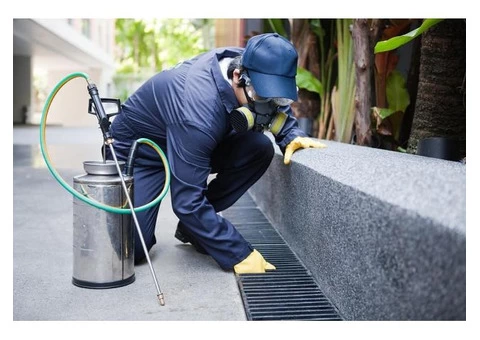SRM Pest Control - Live Pest Free - 1/7