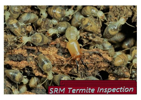 SRM Pest Control - Live Pest Free - 5/7