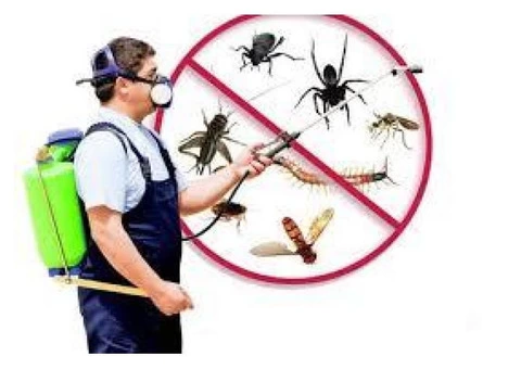 Pest Control Point Cook