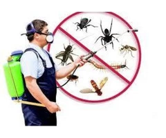 Pest Control Point Cook