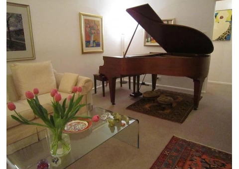 Piano lessons Eastern Suburbs |  beverlykatzmusic - 1/3