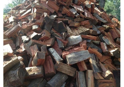 Expert Tree Cutting Service in Hornsby Area, NSW