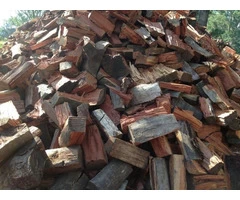 Expert Tree Cutting Service in Hornsby Area, NSW