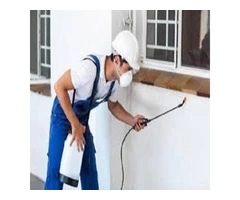 Pest control Calamvale