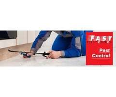 Pest Control Chapel Hill