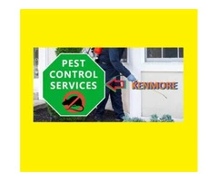 Pest Control Kenmore