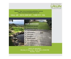 Need Sir Walter Buffalo in Adelaide? We are Exclusive Suppliers!