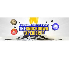 Knockdown Pest Control Sydney - Started from $120 with Warranty