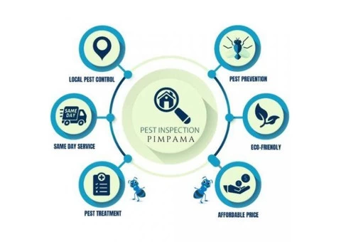 Pest Control Pimpama - 1/4
