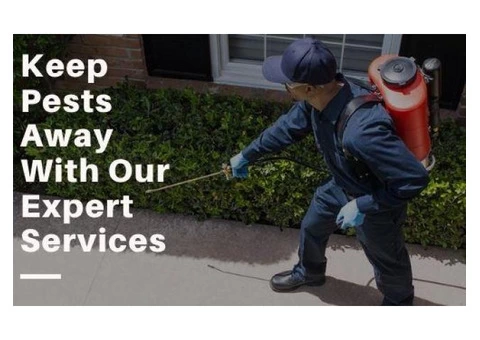 Pest Control Pimpama - 2/4