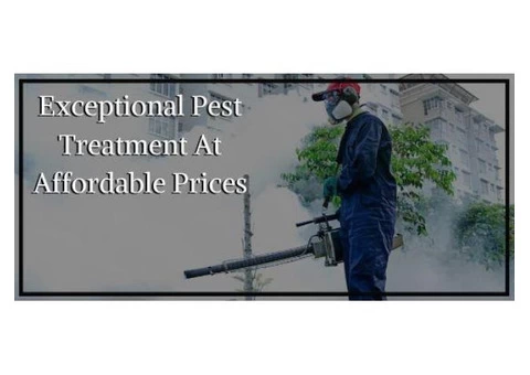 Pest Control Pimpama - 3/4