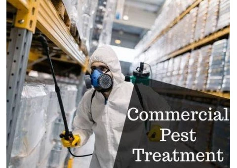 Pest Control Pimpama - 4/4