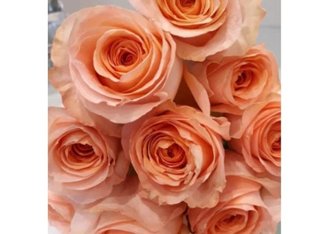 Best Flower Delivery Melbourne - #1 Flower Shop - 1/3
