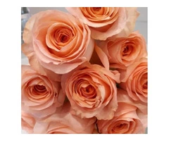 Best Flower Delivery Melbourne - #1 Flower Shop