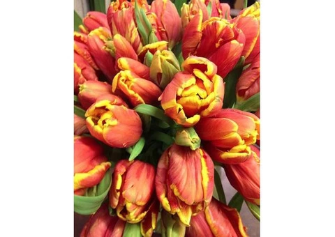 Best Flower Delivery Melbourne - #1 Flower Shop - 2/3