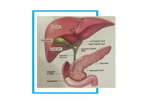Laparoscopic Gallbladder Removal Surgery - 2/2