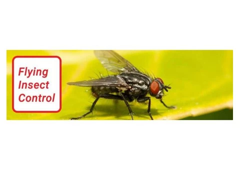 Pest Control Hamilton - 1/4