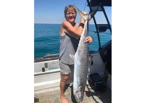 Jules A Real big Spanish Mackerel Fish