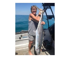 Jules A Real big Spanish Mackerel Fish