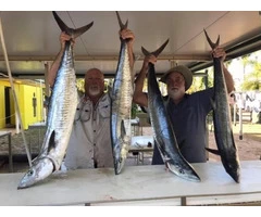 Jim And Phil have a successful catching Spanish fish