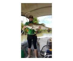 Jordan with great looking Barramundi