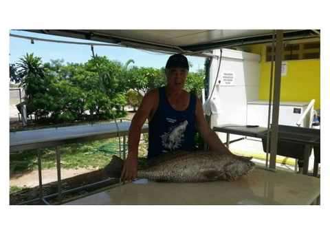 Judi Taylor’s magnificent Black Jew fish