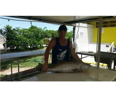 Judi Taylor’s magnificent Black Jew fish