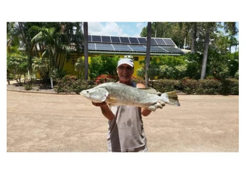 A Big beautiful Barramundi Catch