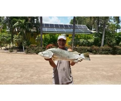 A Big beautiful Barramundi Catch