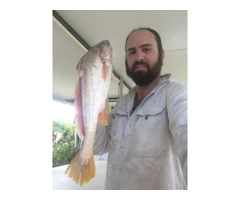 Justin Elliot and his Wife Catch Jewel fish