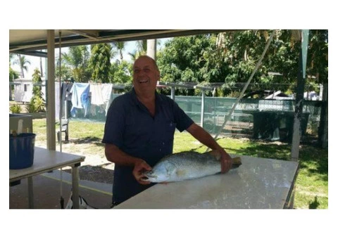 The Barramundi are rolling in daily Another super