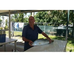 The Barramundi are rolling in daily Another super