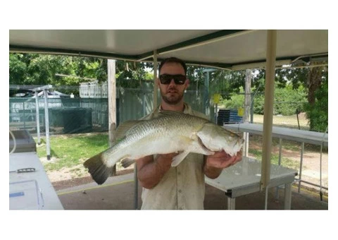 Ollie gets a lovely 75 CM Barramundi