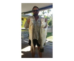 A big Barramundi and another good King Salmon