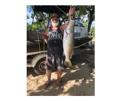 Phil Right now off the beach right  Barramundi