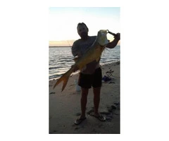 Jason with a big King Salmon