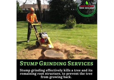 Stump Grinding Services At Affordable Price
