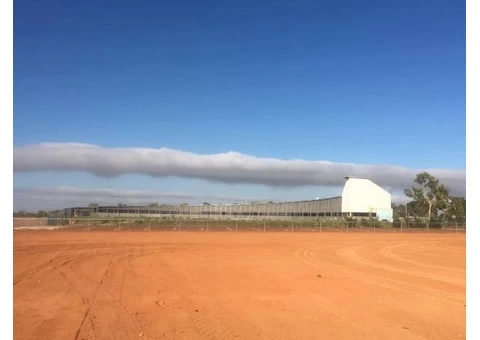 Spectacular morning at the centre