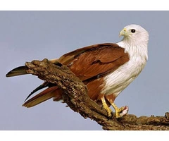 Karumba Point Sunset Caravan Park. Karumba, right on the Gulf