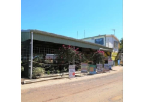 Barra Tone The lure of barramundi in the Gulf - 1/3