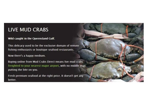 Mud Crabs Direct is run by Mark and Julianne Grunske - 1/3