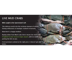 Mud Crabs Direct is run by Mark and Julianne Grunske