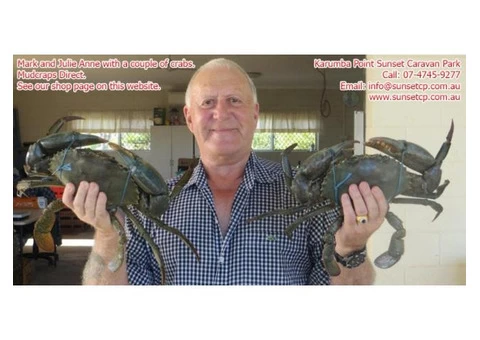 Mud Crabs Direct is run by Mark and Julianne Grunske - 2/3