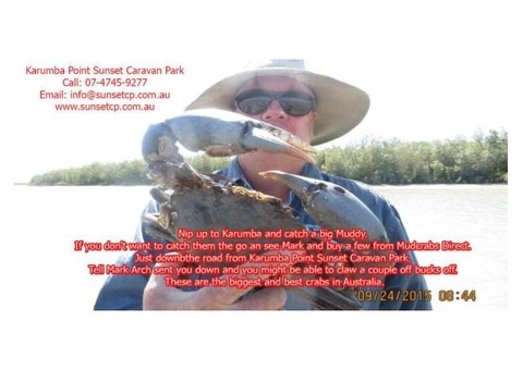 Mud Crabs Direct is run by Mark and Julianne Grunske - 3/3