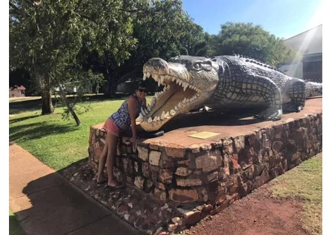 The Sunrise was fantastic Birds and animals - 4/7