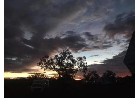 The Sunrise was fantastic Birds and animals - 7/7